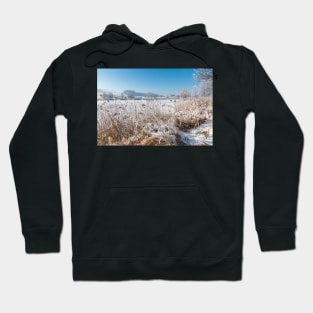 At the Frozen Lake Illmensee - Illmensee, Germany Hoodie